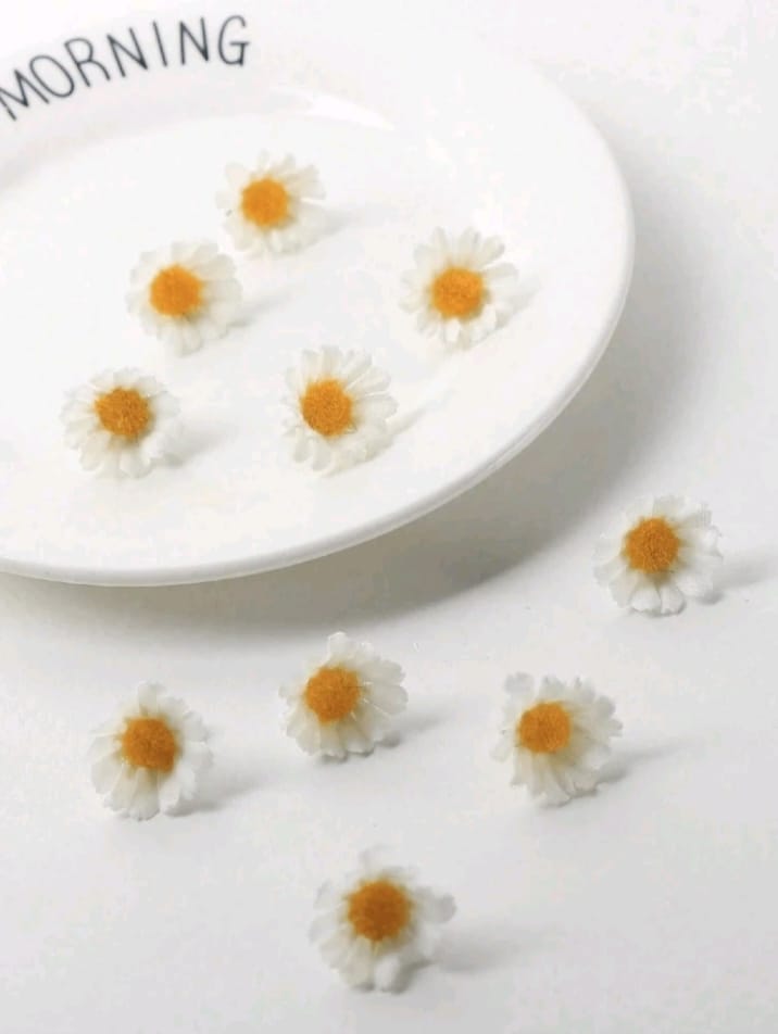 5 Pcs White Daisy Flower Hair Clips For Women/ Mini Ditsy Floral Hair Pins/ Summer Beach Hair Accessories/ Bridal Wedding Party Headpiece Set, Festival, Birthday